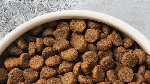 Dry Food