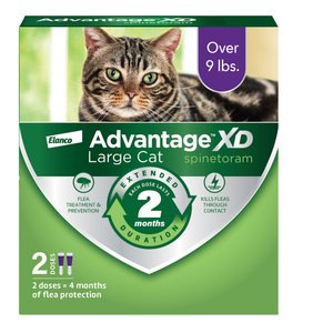 Advantage XD Large Cat Treatment, 2 count