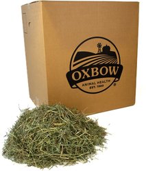 Oxbow Orchard Grass Hay Small Animal Food, 20-lb bag