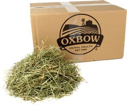 Oxbow Animal Health Western Timothy Hay All Natural Hay for Rabbits, Guinea Pigs, Chinchillas, Hamsters & Gerbils, 20-lb bag Bulk Size