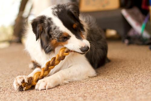 Show full view: Redbarn Naturals Braided Bully Sticks 12" Dog Treats, 2 count slide 4 of 10