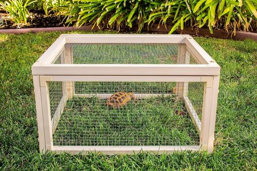 Show full view: New Age Pet ECOFLEX Sonoran Indoor Outdoor Tortoise House Pen slide 3 of 9