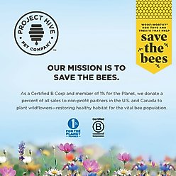 Project Hive Pet Company Pumpkin Dental Stick Dog Chew Treat, Large, 7-oz bag slide 2 of 7