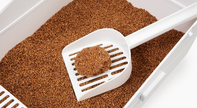 PACO & PEPPER Made from Olive Pits 0% Dust Natural Unscented Clumping Cat Litter, 11.5-lb bag