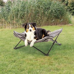 TRIXIE Camping Cot Dog Bed, Gray, Large slide 1 of 7