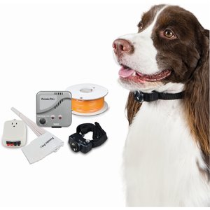 Premier Pet In-Ground Dog Fence System, Gray