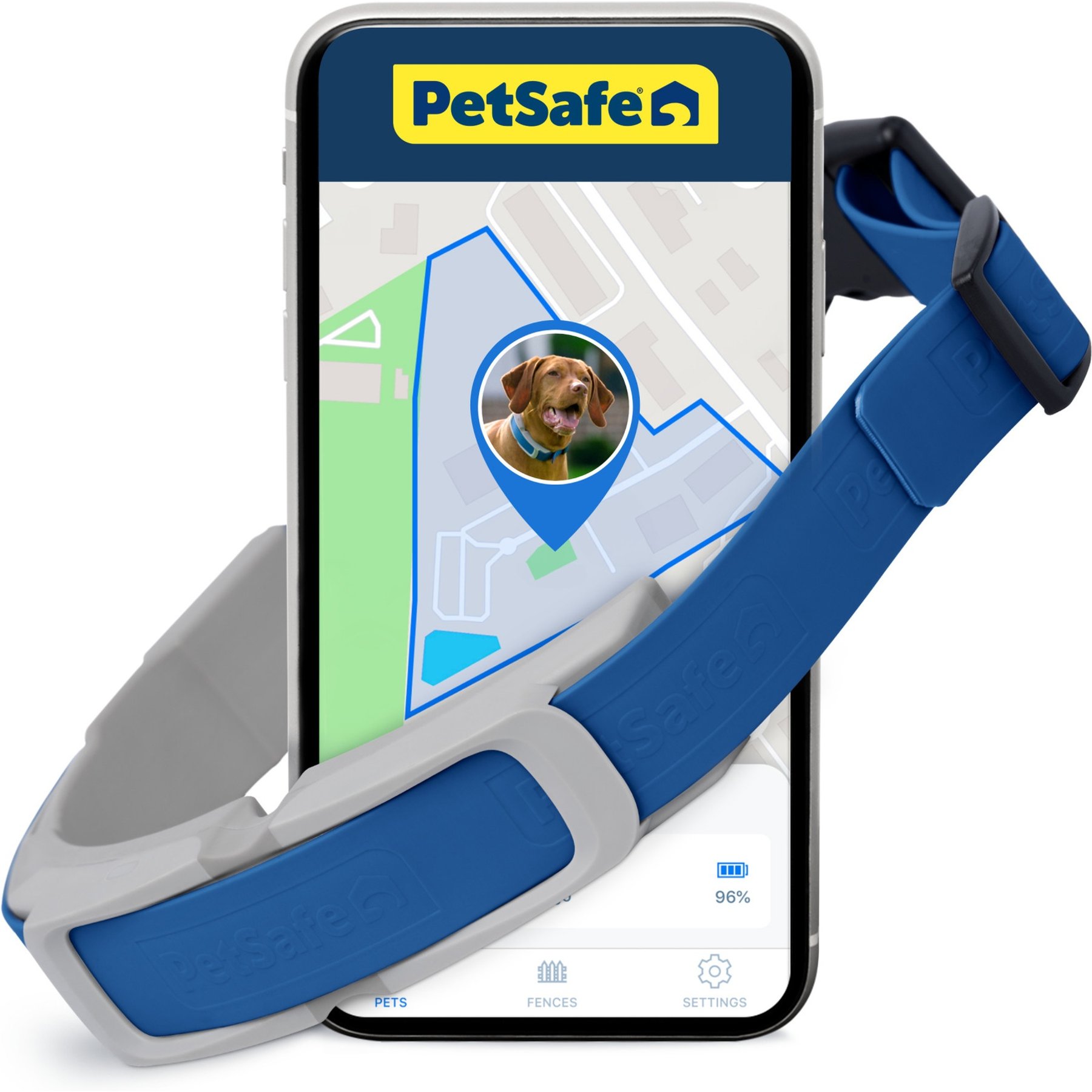 Gps for your fashion dog