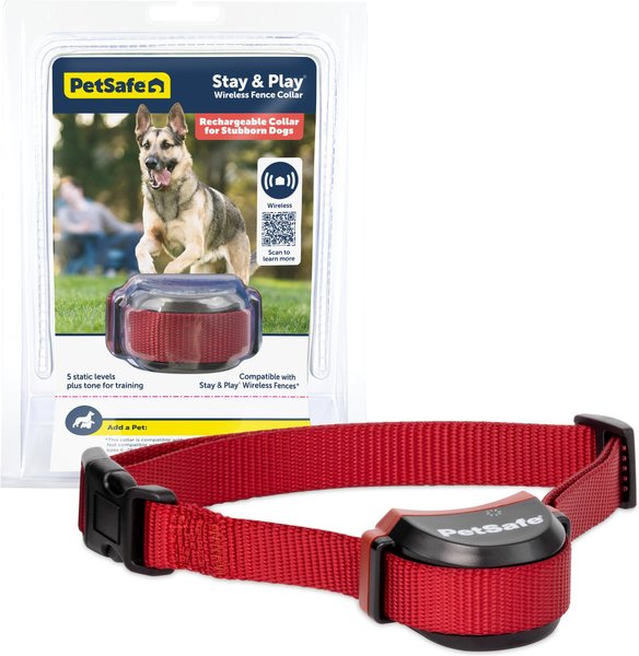 PETSAFE Stubborn Dog Stay Play Wireless Fence Receiver Collar Chewy