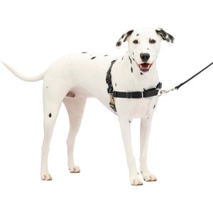 PetSafe Easy Walk Harness