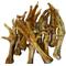 Show in main carousel: HDP Roasted Poultry Feet Dog Chew Treats, 50 count slide 1 of 3