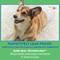 Show in main carousel: OUT! Disposable Male Wraps, 96 count, tXS/S: 13 to 18-in waist + Fruitables Pumpkin & Blueberry Flavor Crunchy Dog Treats, 7-oz bag slide 8 of 10