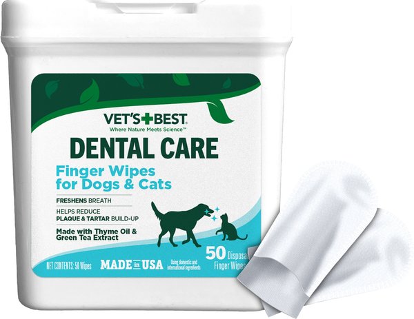 Pet dental wipes best sale