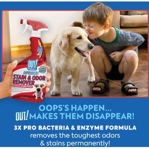OUT! PetCare Advanced Stain & Odor Remover, 32-fl oz bottle, 2 count