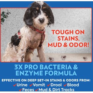 OUT! PetCare Advanced Stain & Odor Remover, 32-fl oz bottle, 2 count