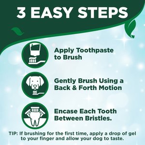 Vet's Best Toothbrush & Toothpaste Dental Kit, 3.5-oz tube, Adult