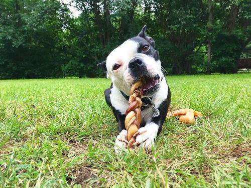 Show full view: Bully Sticks Braided 7" Dog Treats, 3 count slide 4 of 6