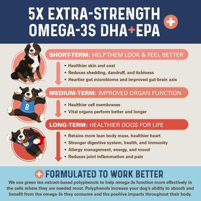 Show full view: Bernie's OMG! Omegas 5X Extra Strength Omega-3s DHA+EPA Skin & Coat, Allergy, Calming & Joint Support Pork Flavor Fish Oil Chews Supplement for Dogs, 90 count slide 9 of 9