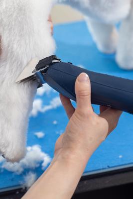 Show full view: Wahl KMC+ Pet Clipper, Navy slide 10 of 12