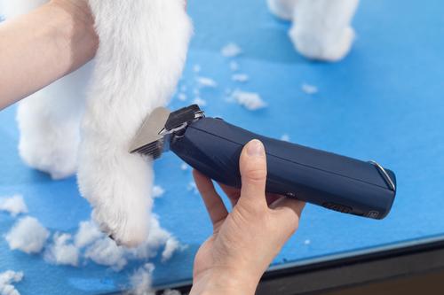 Show full view: Wahl KMC+ Pet Clipper, Navy slide 6 of 12