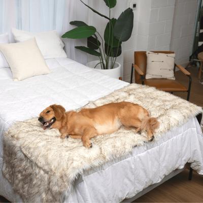 Show full view: PawBrands PupProtector Premium Faux Fur Waterproof Bed Runner Dog Blanket, White with Brown Accents, King/ California King slide 5 of 5