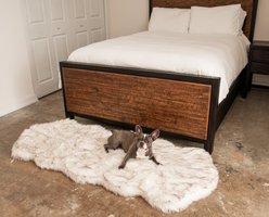 PawBrands PupRug Runner Faux Fur Orthopedic Dog Bed, White with Brown Accents, One Size slide 1 of 5