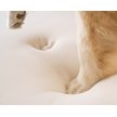 Show in main carousel: PawBrands PupRug Faux Fur Orthopedic Dog Bed, White with Brown Accents, Medium slide 2 of 5