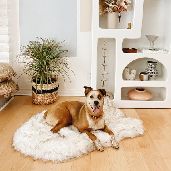 Show full view: PawBrands PupRug Faux Fur Orthopedic Dog Bed, White with Brown Accents, Medium slide 1 of 5