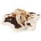 Show in main carousel: PawBrands PupRug Animal Print Memory Foam Dog Bed, Brown Cowhide, Medium slide 3 of 5