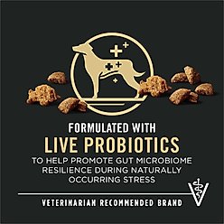 Purina Pro Plan Adult Shredded Blend Beef & Rice Formula Dry Dog Food, 35-lb bag slide 2 of 9