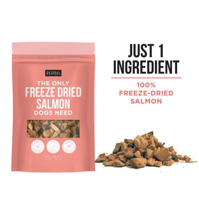 Show full view: Natural Rapport Salmon Freeze-Dried Dog & Cat Treats, 3-oz bag slide 3 of 5