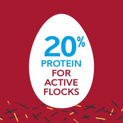 Show full view: Kent / Blue Seal Home Fresh Extra Egg Layer Free Range Pellet Chicken Feed, 40-lb bag slide 5 of 10