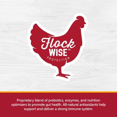 Show full view: Kent / Blue Seal Home Fresh Extra Egg Layer 17% Protein Crumbles Chicken Feed, 25-lb bag slide 6 of 10