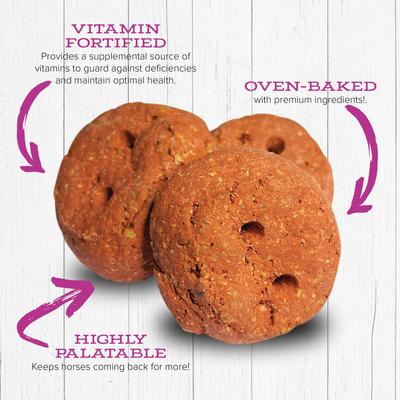 Show full view: Kent / Blue Seal Berry Christmas Rounders Horse Treats, 1.87-lb bag slide 3 of 6