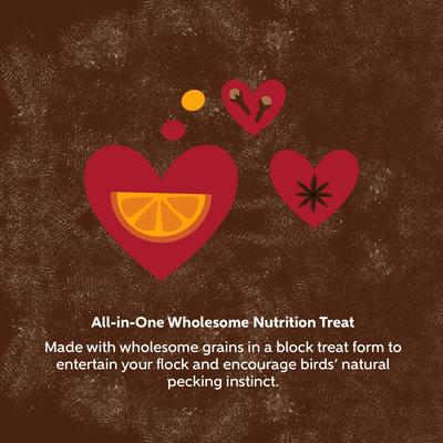 Show full view: Kent / Blue Seal Home Fresh Extra Egg Holiday Spice Chicken Treat, 20-lb block slide 2 of 7