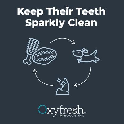 Show full view: Oxyfresh Natural Rubber Dog Dental Chew Toy, Orange, Large slide 9 of 11