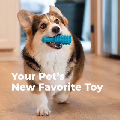 Show full view: Oxyfresh Natural Rubber Dog Dental Chew Toy, Orange, Large slide 4 of 11