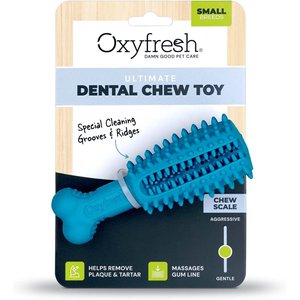 Oxyfresh Natural Rubber Dog Dental Chew Toy, Teal, Small
