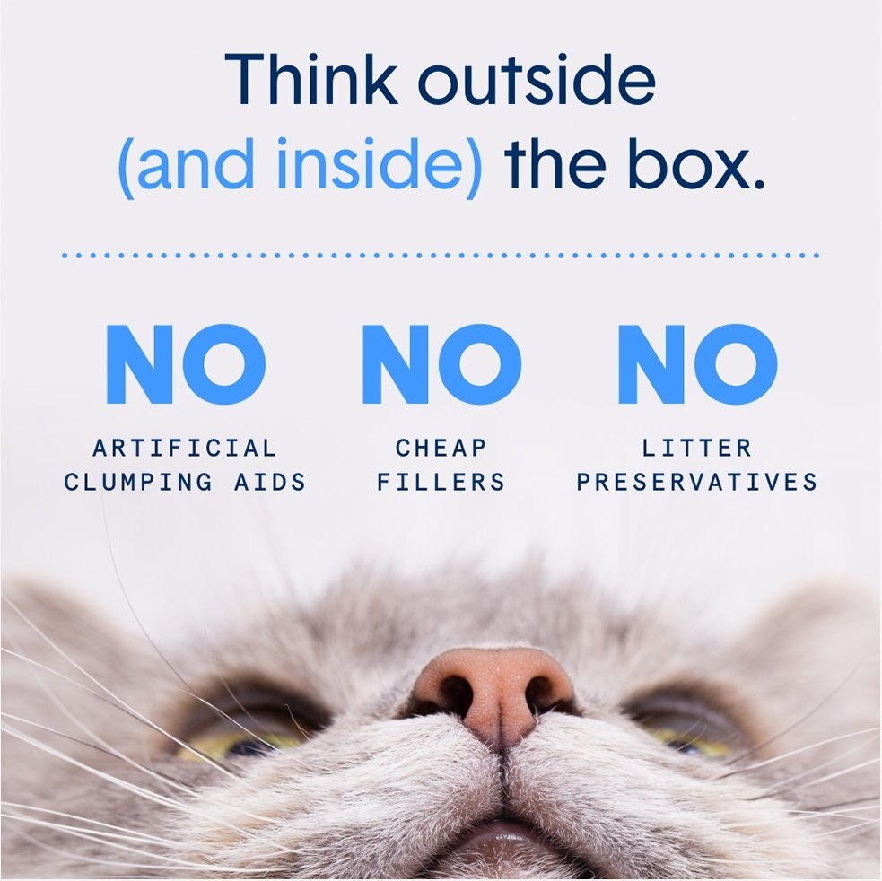 View of BOXIECAT Self-Cleaning Probiotic Clumping Clay Cat & Kitty Litter, 16 ...