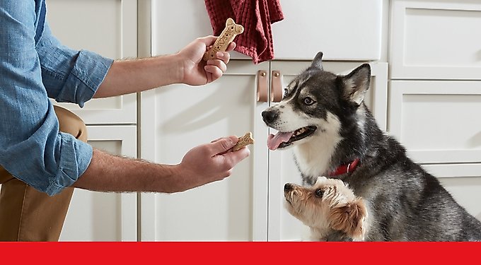 Milk-Bone Dipped Vanilla Yogurt Crunchy Dog Treats