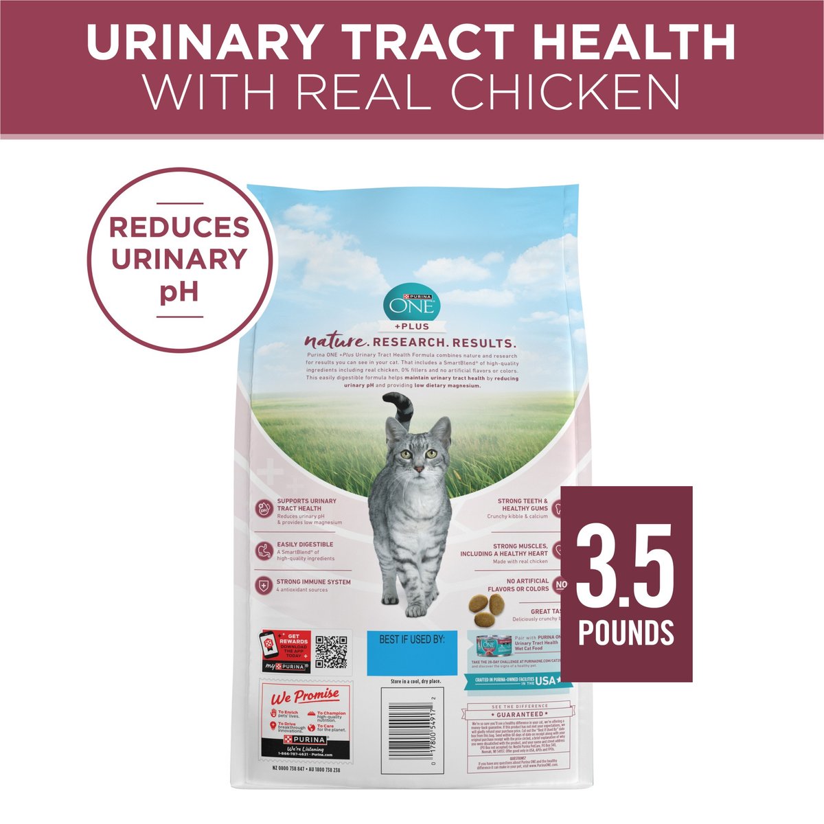 PURINA ONE Plus Urinary Tract Health Formula High Protein Adult Dry Cat Food 3.5 lb bag Chewy