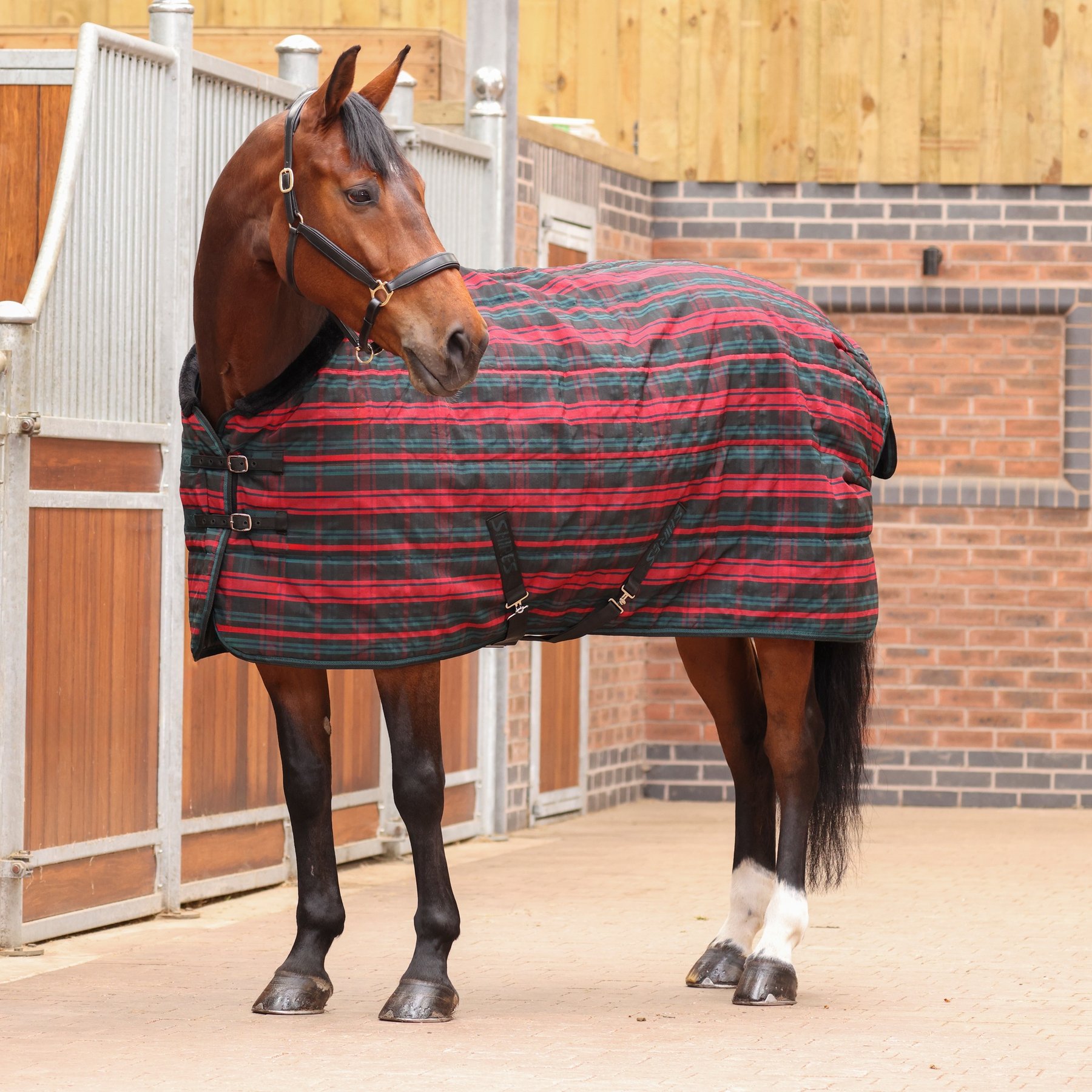 Shires Equestrian Products Tempest Plus 200-g Stable Rug, Red Tartan, 63-in