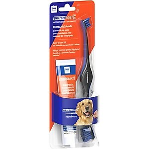 Paw Ready BrushMate Toothbrush & Enzymatic Banana Mint Flavor Dog & Cat Toothpaste, 70-gram bottle