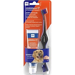 Paw Ready BrushMate Toothbrush & Enzymatic Banana Mint Flavor Dog & Cat Toothpaste, 70-gram bottle