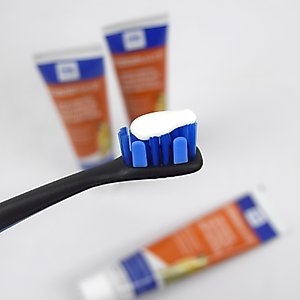 Paw Ready BrushMate Toothbrush & Enzymatic Banana Mint Flavor Dog & Cat Toothpaste, 70-gram bottle