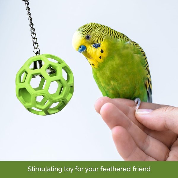 Temporarily Unavailable - JW PET Hol-ee Roller Bird Toy, Color Varies ...