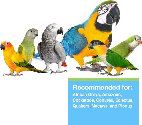 Show full view: Hari Tropican High Performance 4-mm Bird Food, 25-lb bag slide 3 of 5