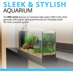 Fluval Spec Aquarium Kit, 5-gal