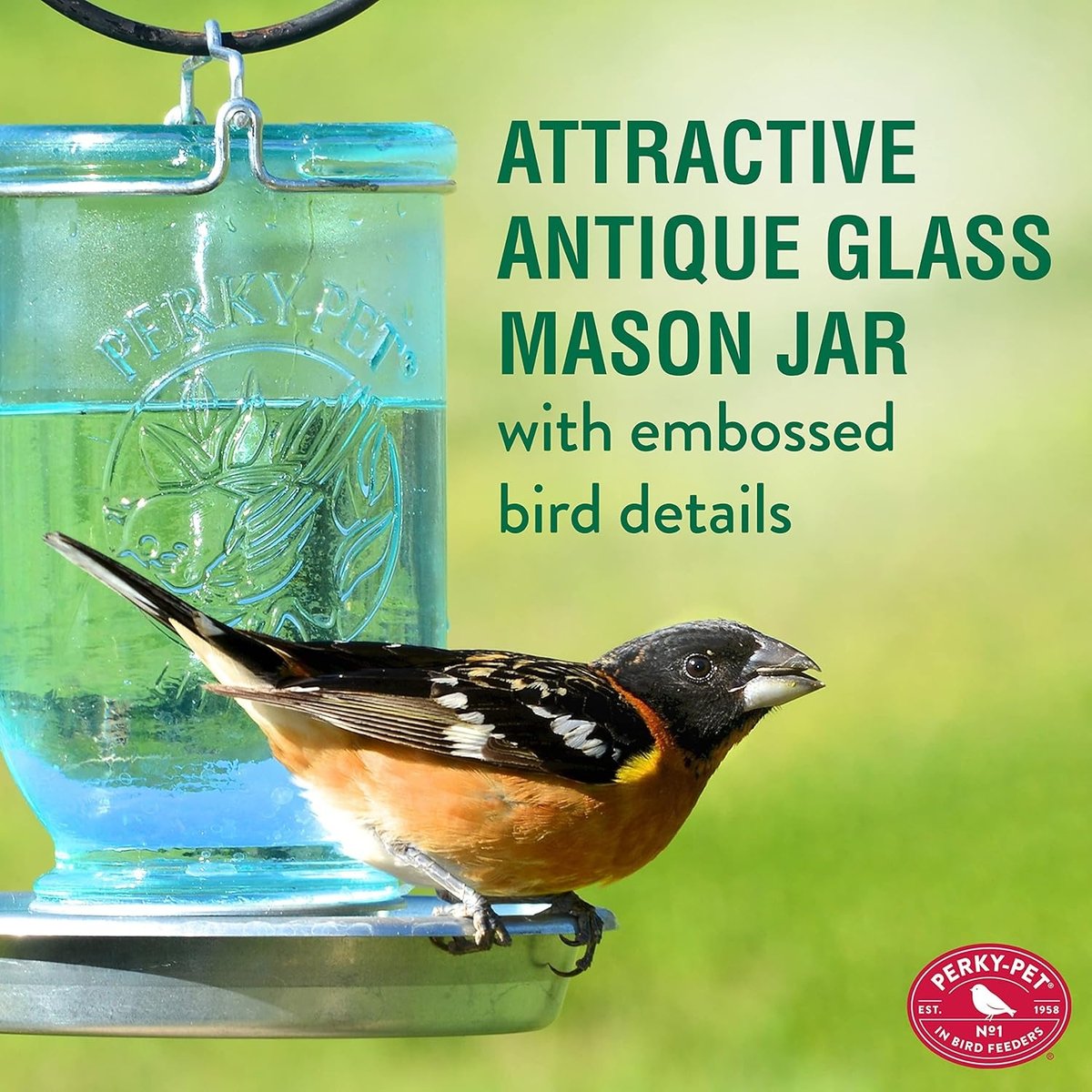Perky-Pet Mason Jar Duo Wild Bird Feeder