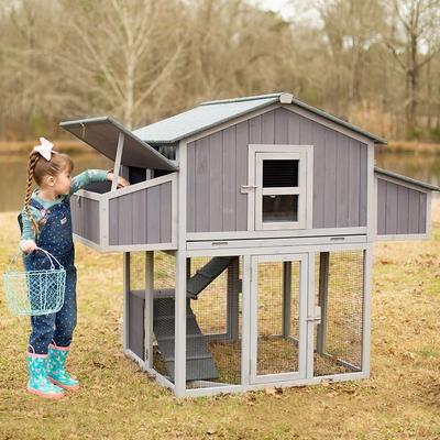Show full view: Aivituvin AIR66 Foldable Chicken Coop, 3 to 4 Chicken Capacity slide 2 of 11