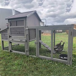 Aivituvin AIR27 Chicken Tractor Chicken House, 2 to 4 Chicken Capacity slide 2 of 9